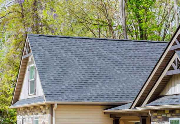 Best Solar Panel Roofing Installation  in Winthrop Harbor, IL